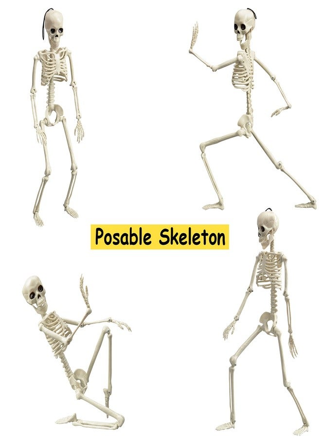 زونور هيكل عظمي قابل للتحريك من XONOR مقاس 16 بوصة للهالوين - هيكل عظمي كامل الجسم للهالوين بمفاصل متحركة لتزيين المنازل المسكونة (10 قطع) - Image 4